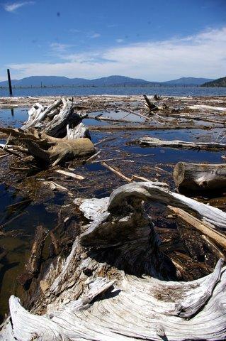 0707_Idaho_Sandpoint10