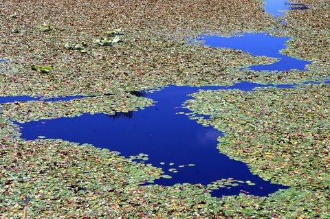 0707_Idaho_Sandpoint12