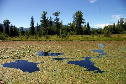 0707_Idaho_Sandpoint13