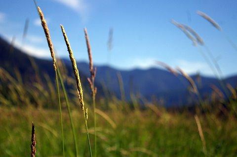 0707_Idaho_Sandpoint17