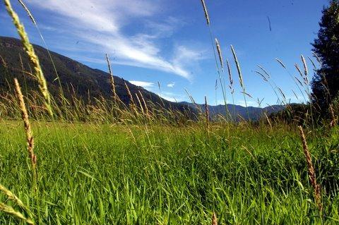 0707_Idaho_Sandpoint18