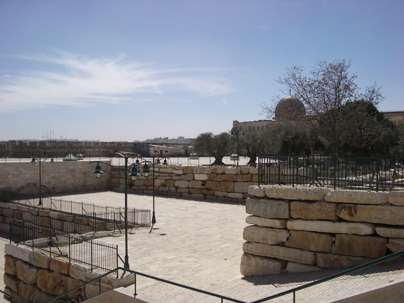 IMGP0916