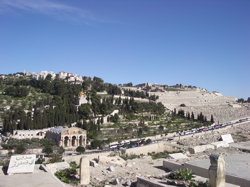 IMGP0936