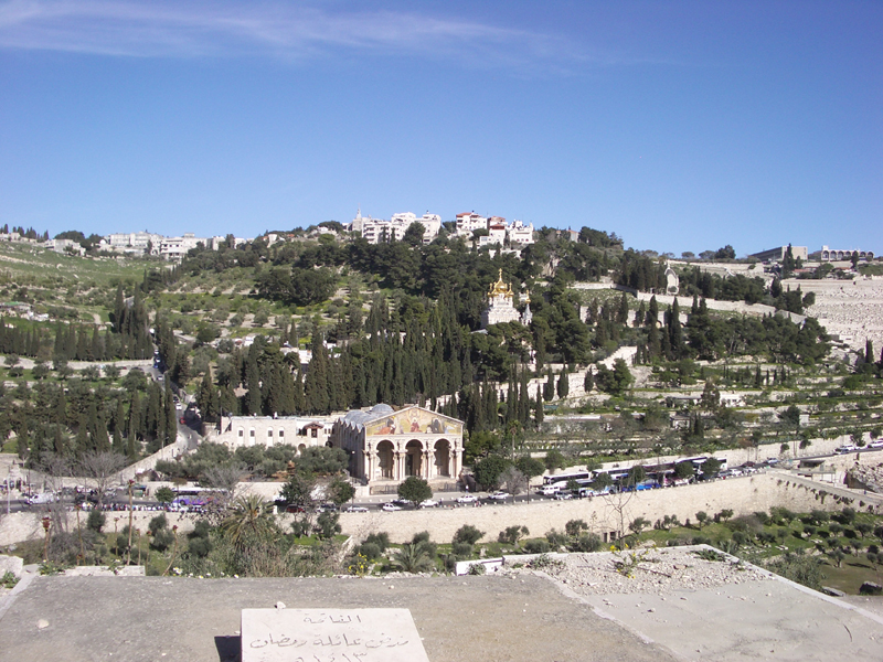 IMGP0939