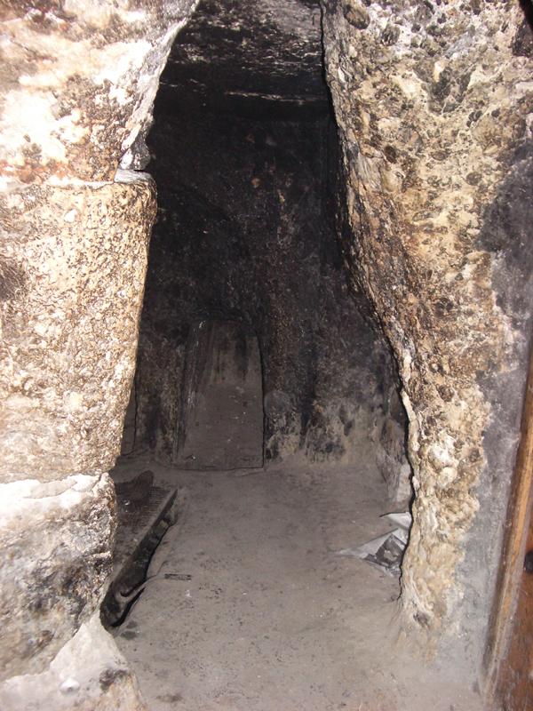 IMGP0944