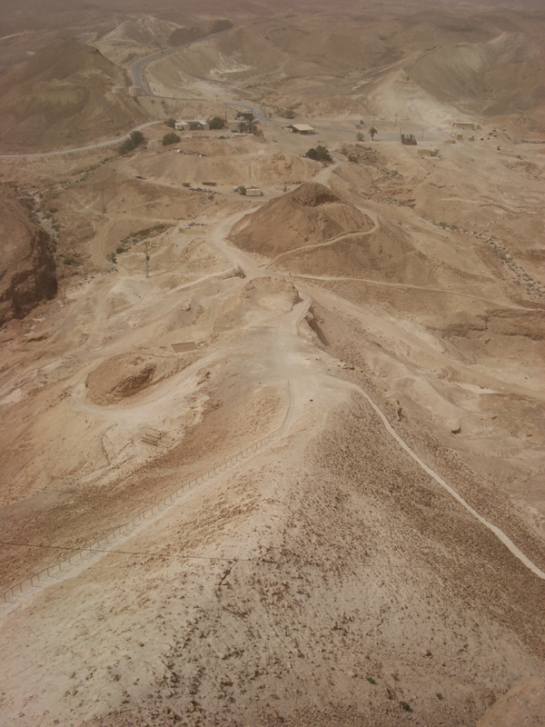 IMGP0982