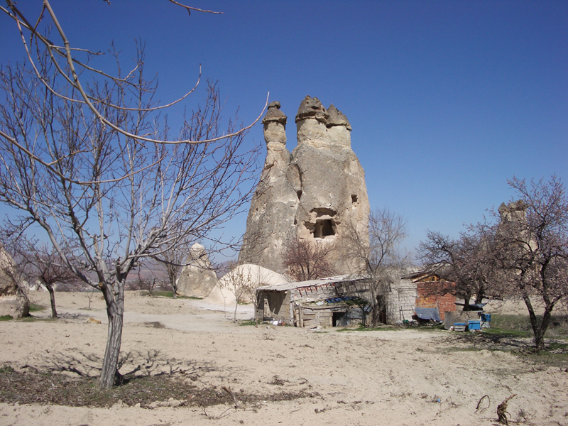 IMGP2168