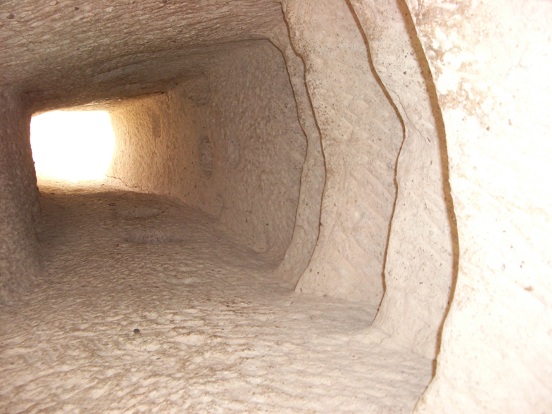 IMGP2178