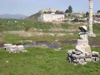 IMGP2295