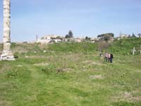 IMGP2298