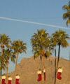 Tuscon Christmas - The stockings were hung by the palm trees with care