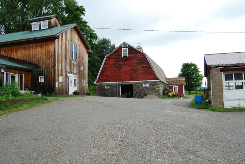 DSC_0075